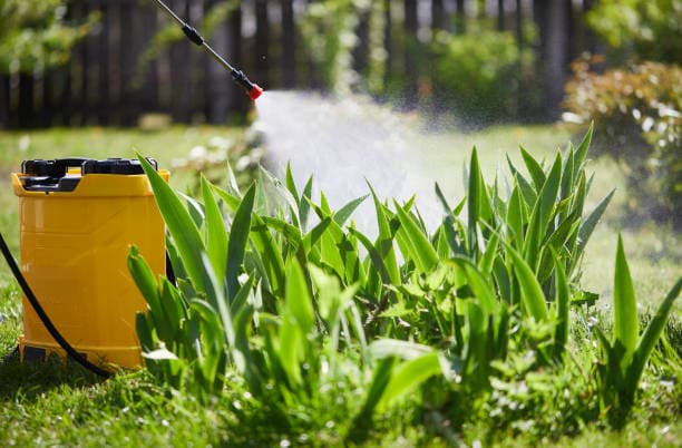 تصویر 4 از سمپاش موتوری پشتی با فشار تنظیم شونده عالی